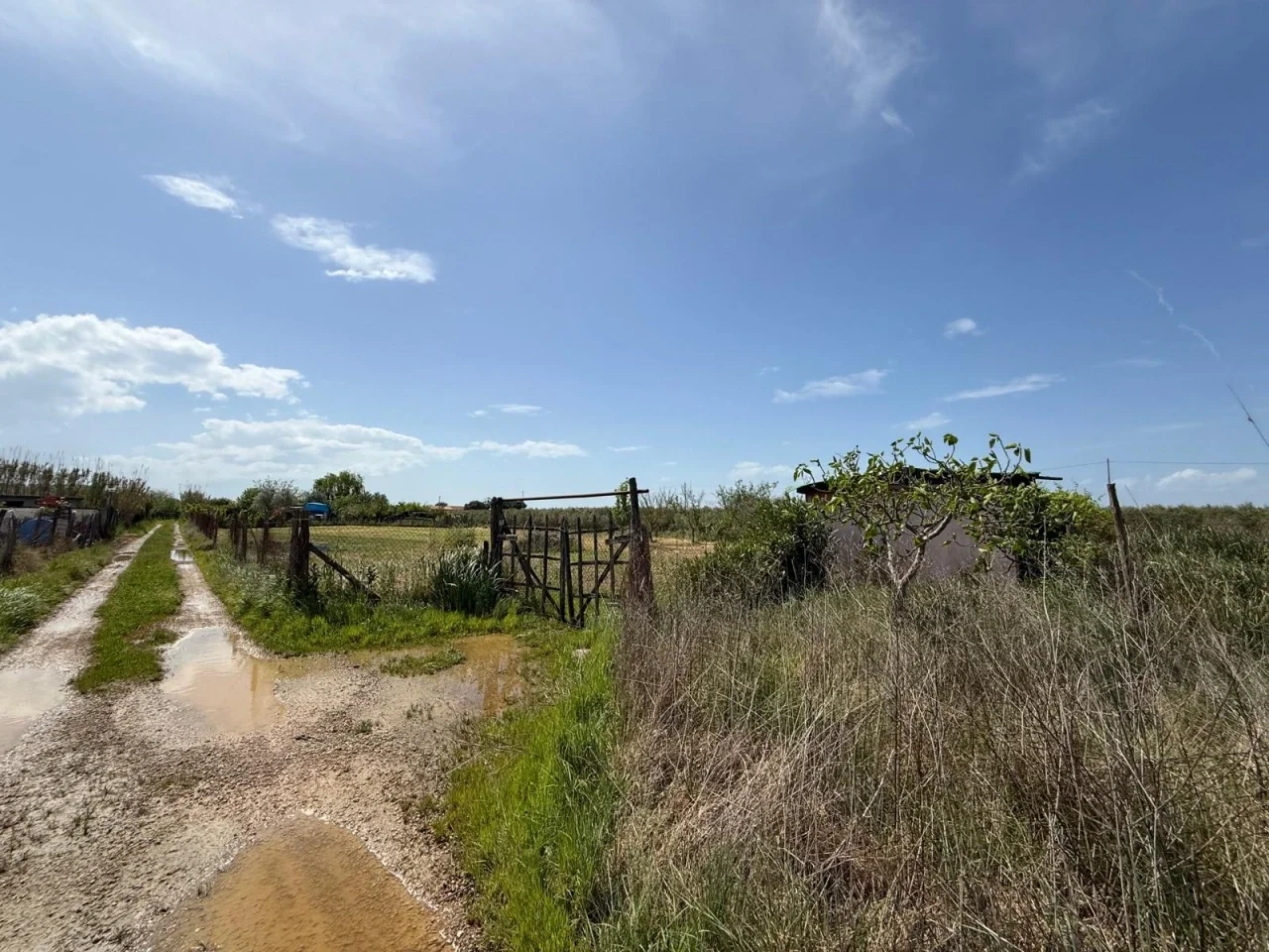 2 - vente terrain grosseto toscane italie