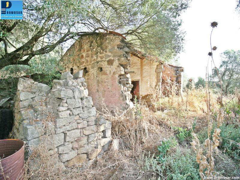 2 - vente propriété arzachena sardaigne italie
