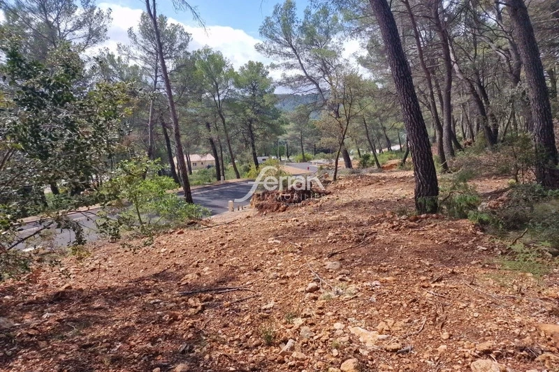 1 - vente terrain salernes var france