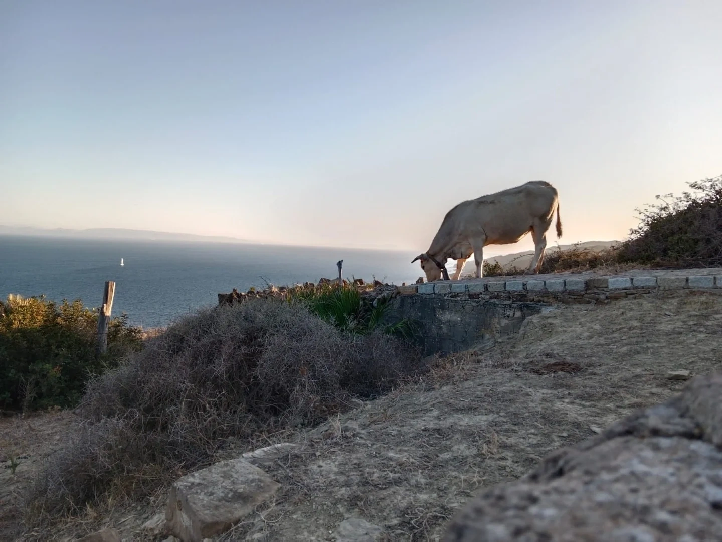 2 - vente terrain vue mer tarifa andalousie espagne
