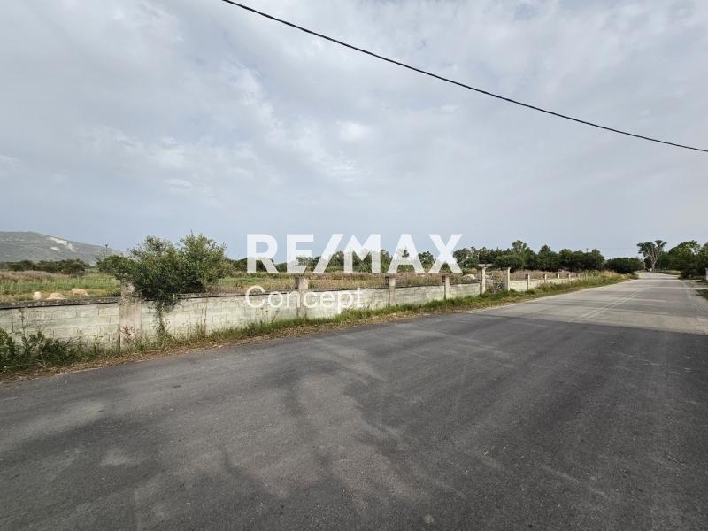 2 - vendita terreno zante isole ioniche grecia