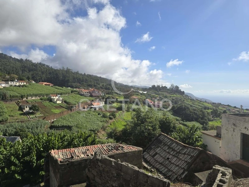 1 - vendita terreno canhas madera portogallo