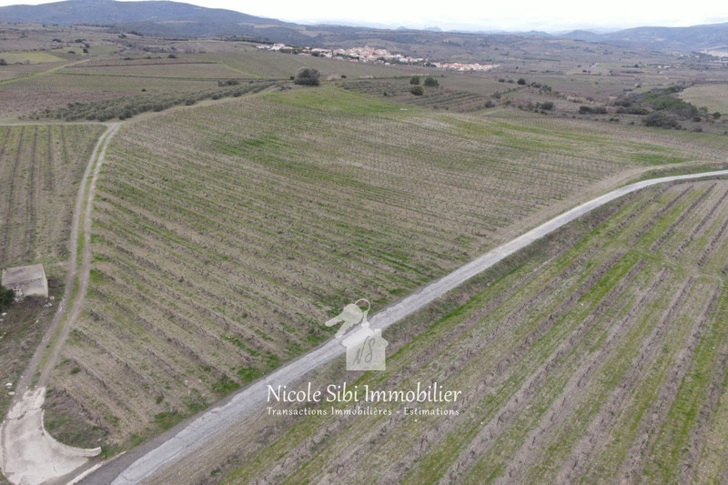 2 - verkoop terrein montner pyrénées-orientales frankrijk