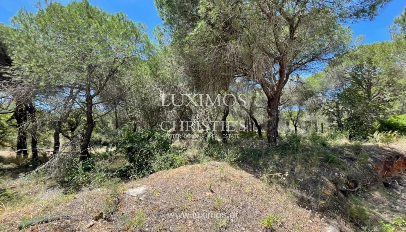 1 - plot of land for sale in loulé algarve portugal