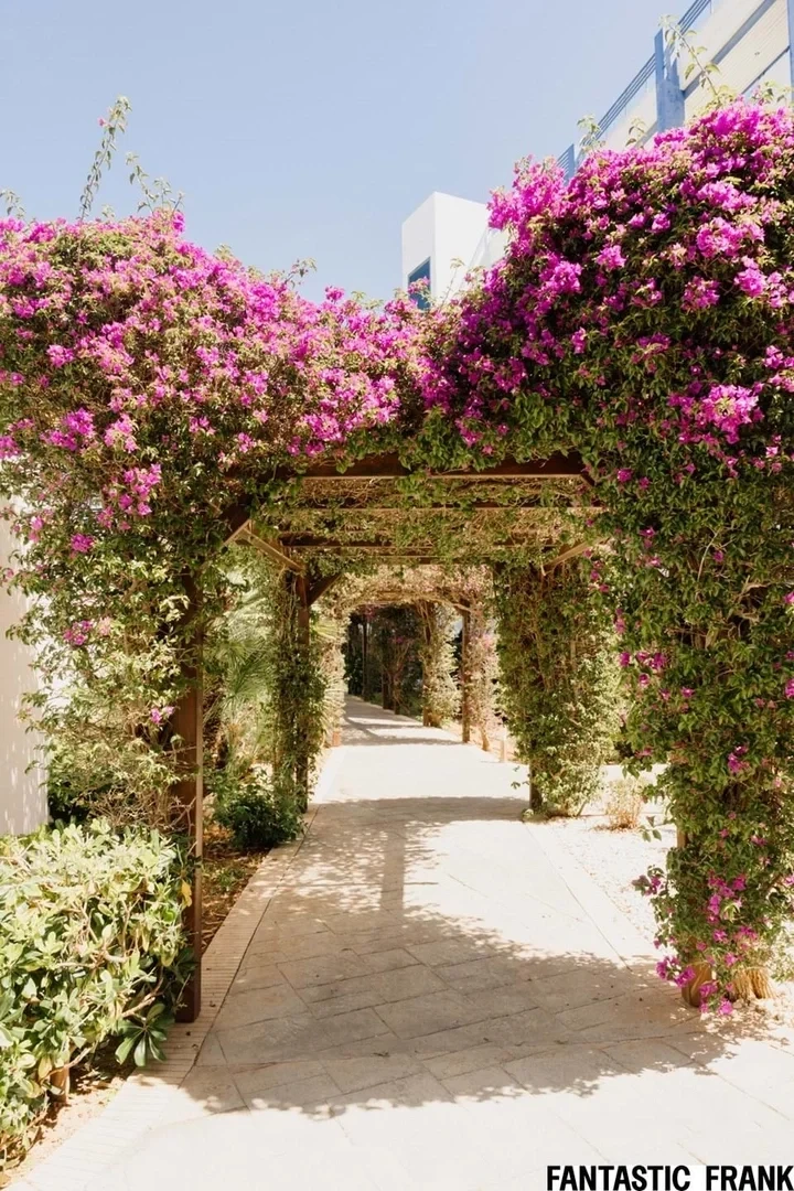 2 - vendita appartamento vista mare santa eulalia del río ibiza - baleari spagna