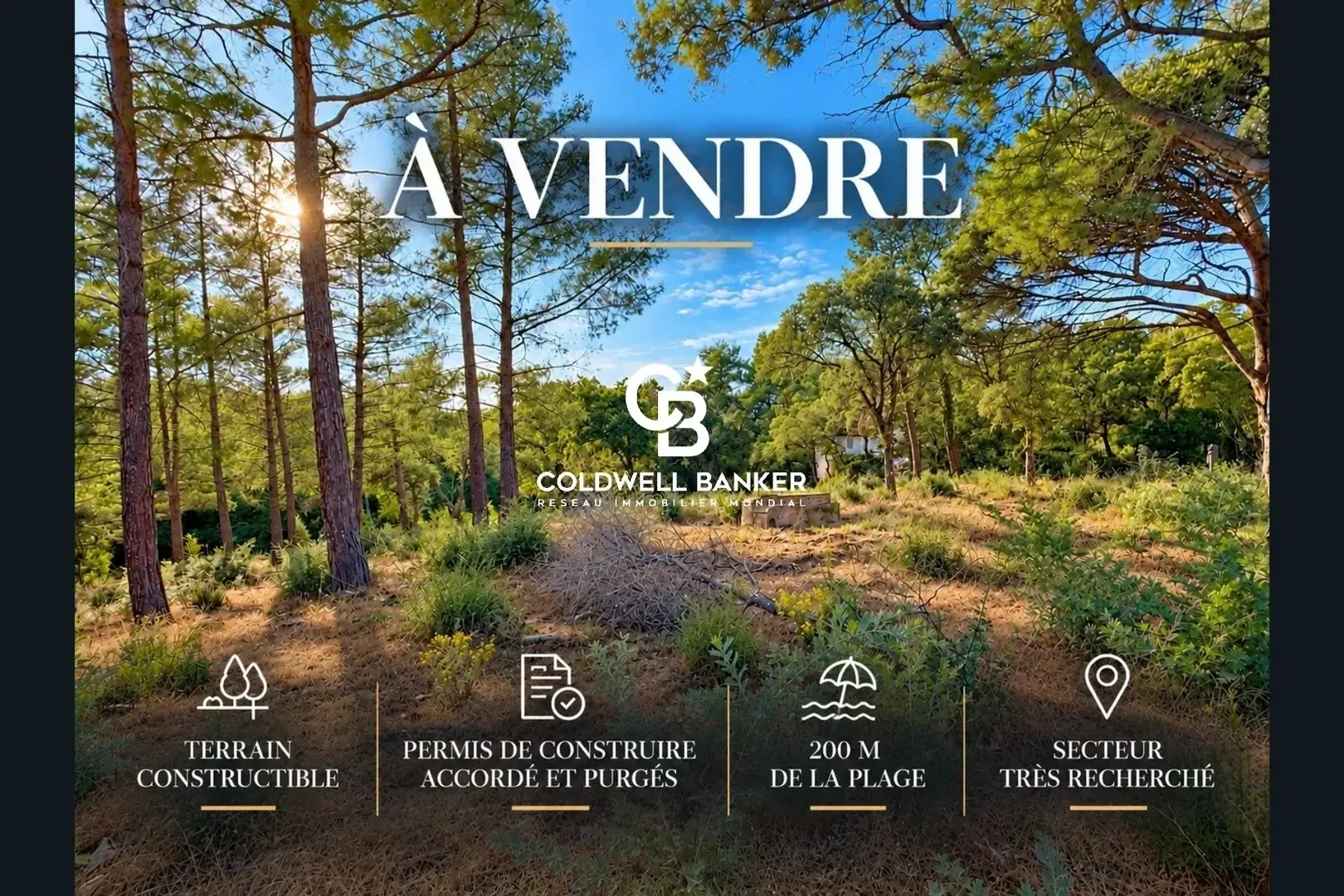 1 - vente terrain grimaud var france