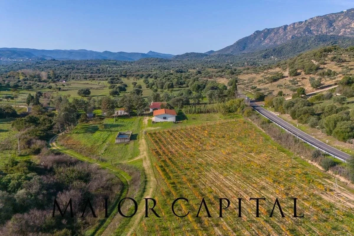 2 - venta terreno oliena cerdeña italia