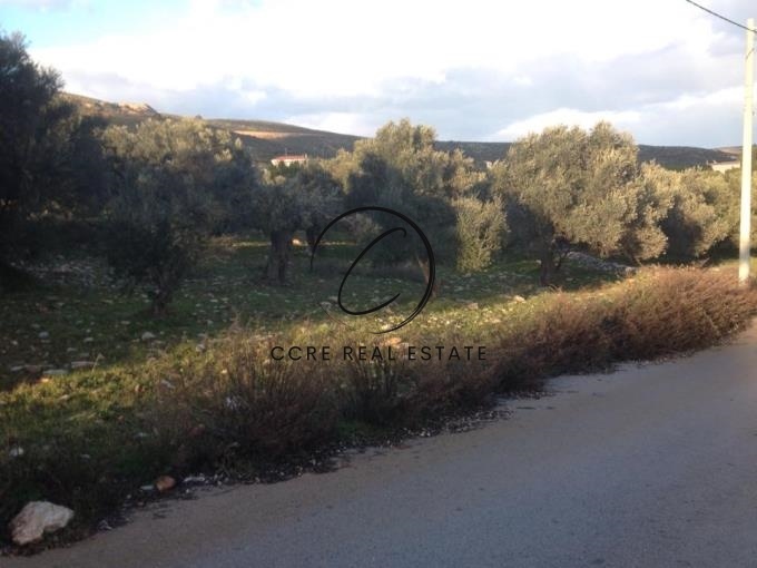 1 - vente terrain grammatiko attique grèce
