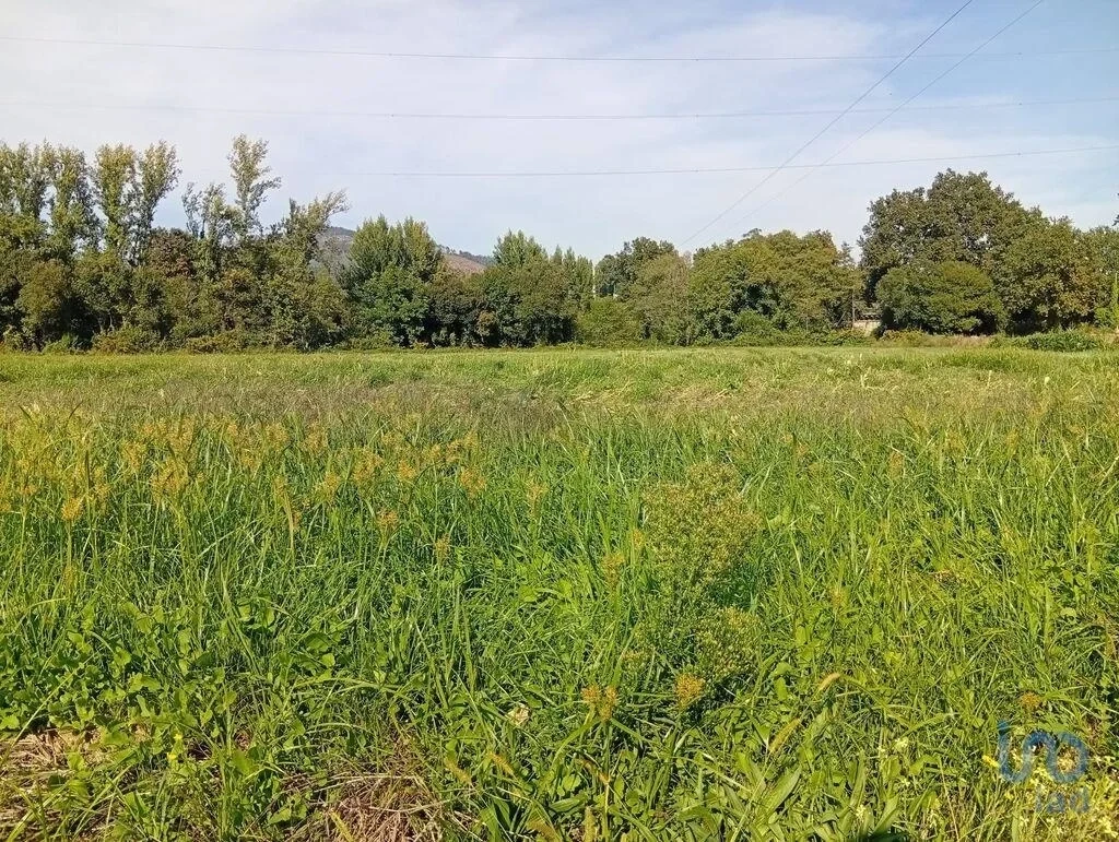 1 - plot of land for sale in ponte de lima north region portugal
