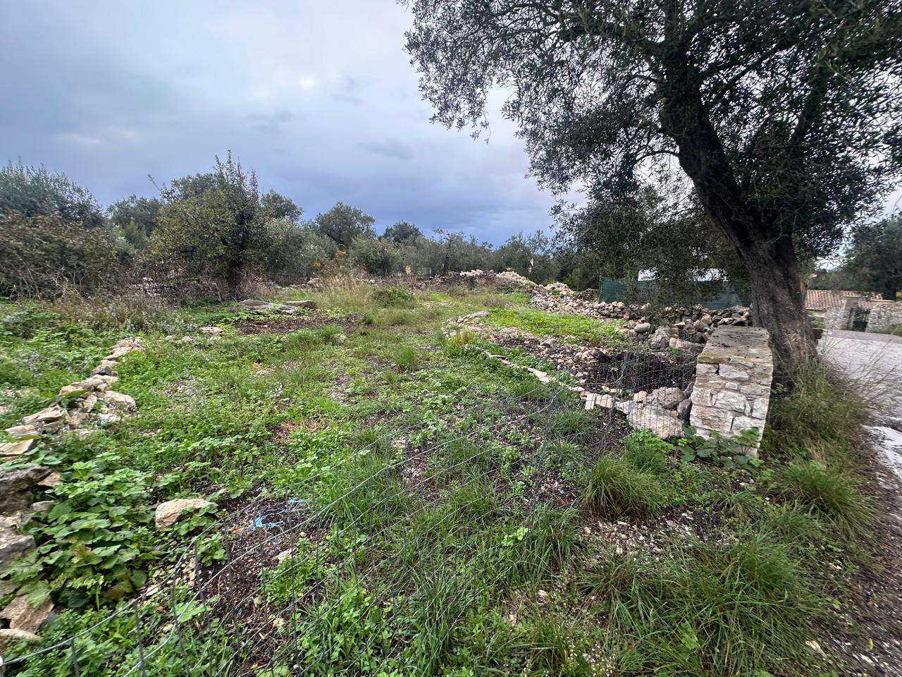 2 - plot of land for sale in paxos ionian islands greece