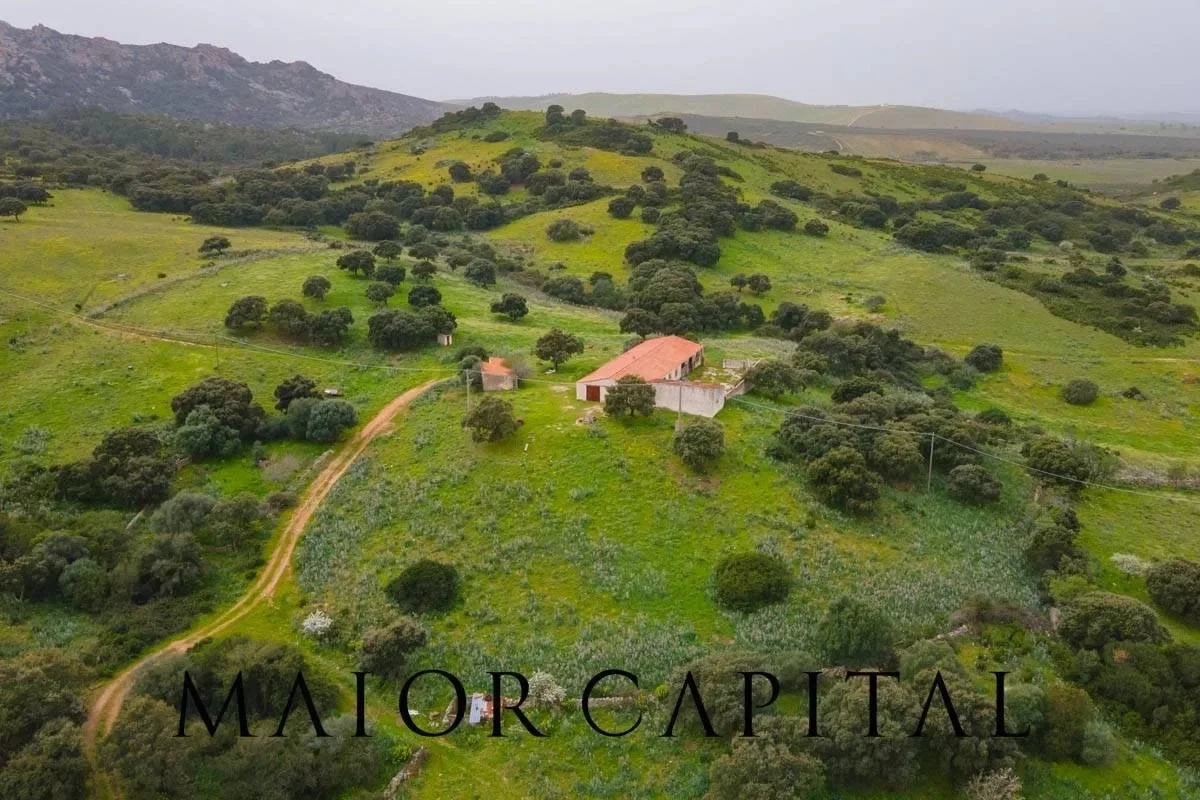 2 - plot of land for sale in berchidda sardinia italy