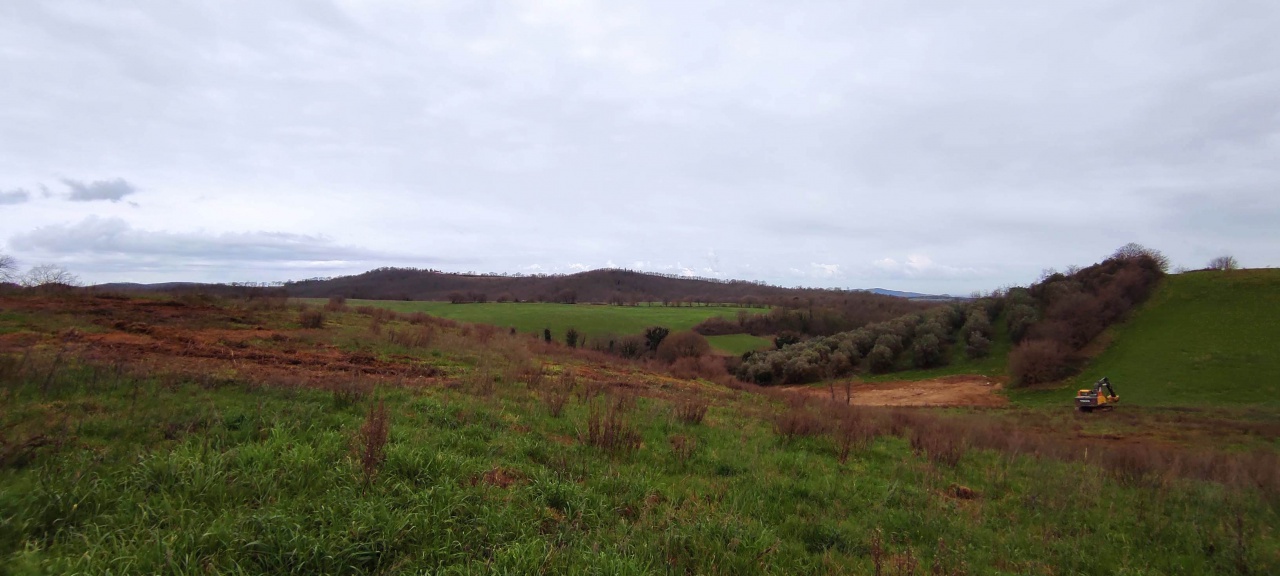 2 - venda propriedade manciano toscana itália