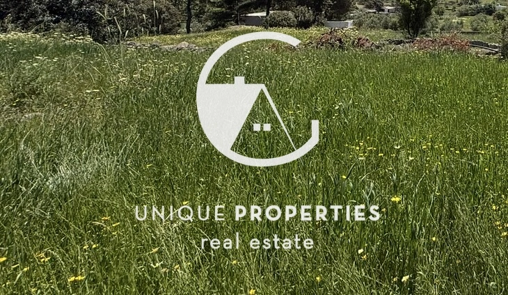 2 - vente terrain aegina attique grèce