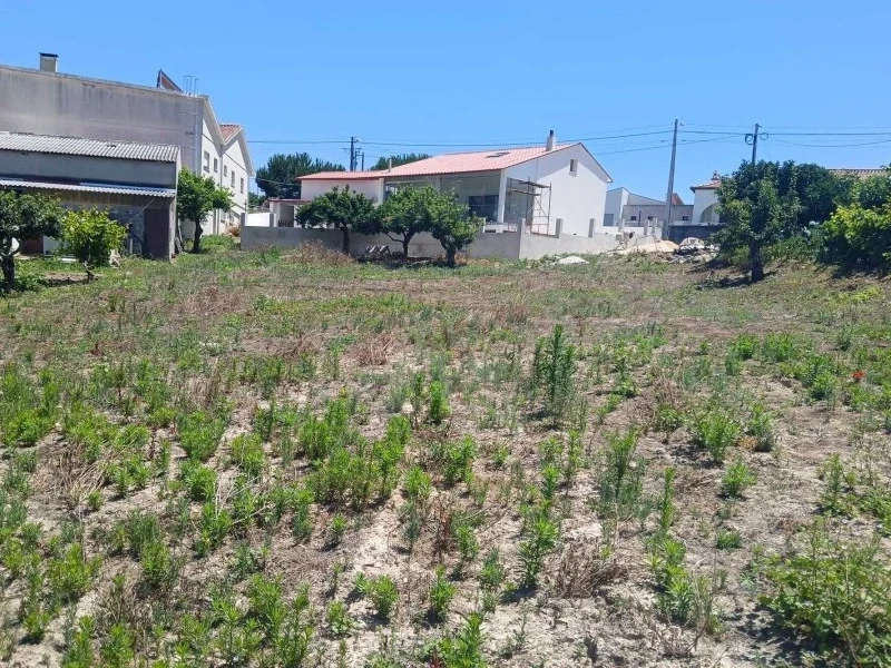 1 - продажа территория leiria центральный регион португалия