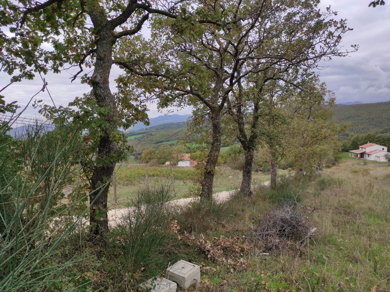 2 - vendita proprietà sorano toscana italia