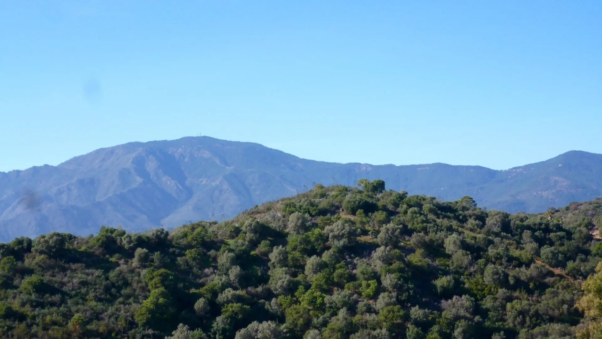 1 - sea view plot of land for sale in estepona - costa del sol andalusia spain