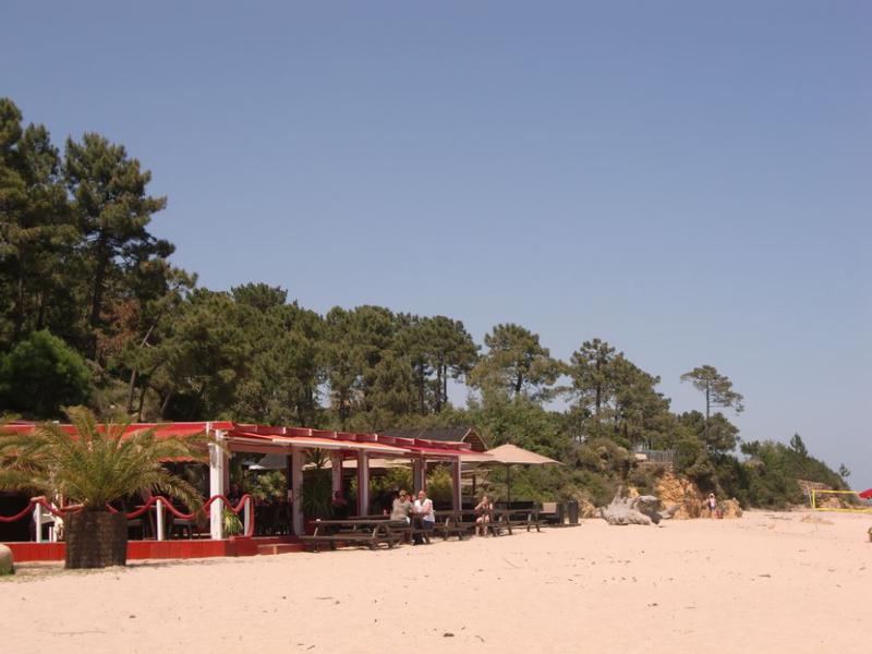 2 - sea view estate for sale in sari-solenzara corsica (south) france