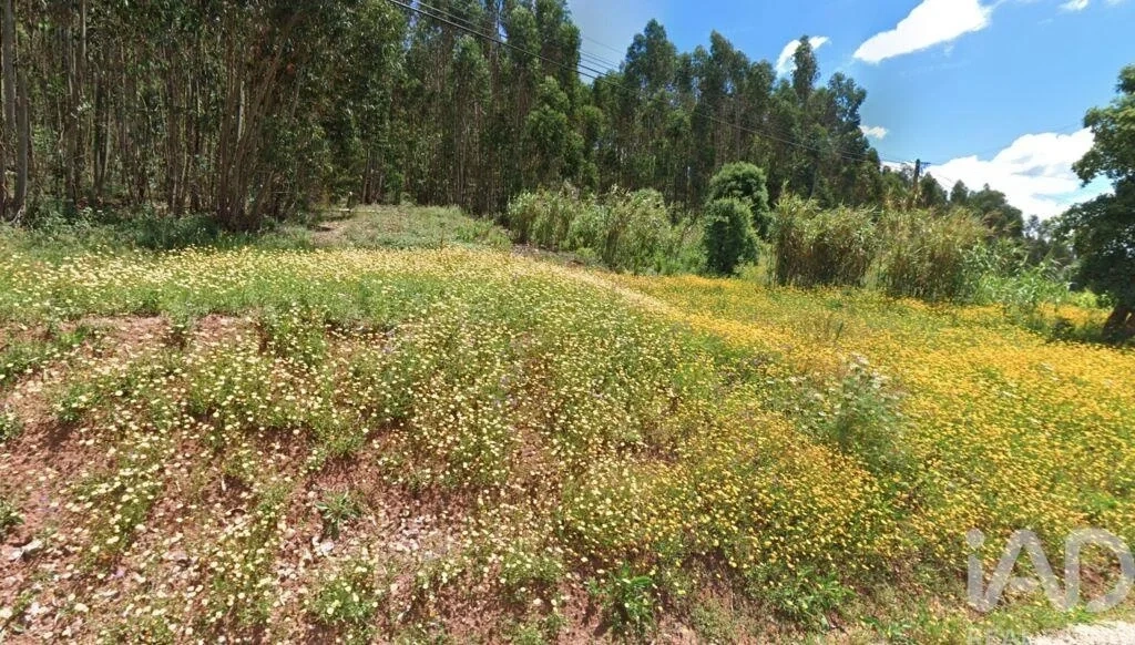 1 - plot of land for sale in rio maior alentejo portugal