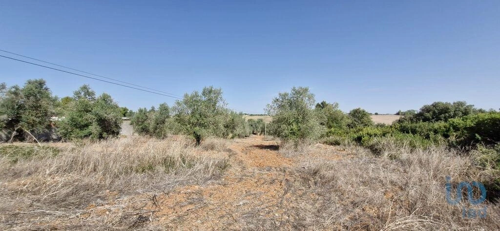 1 - vente terrain rio maior alentejo portugal