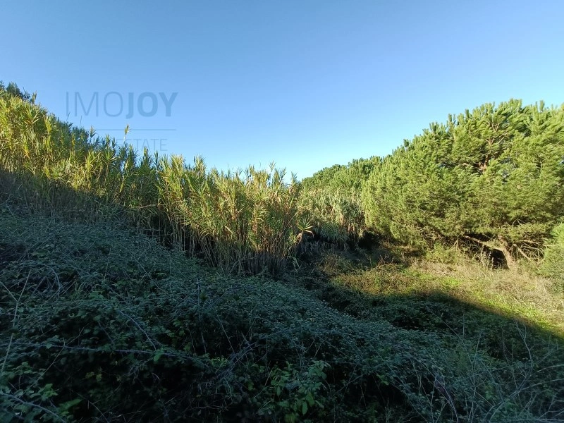 2 - продажа территория caparica лиссабон регион португалия