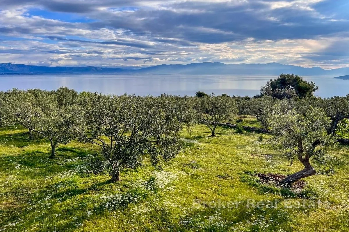 2 - vente maison vue mer solta split-dalmatie croatie
