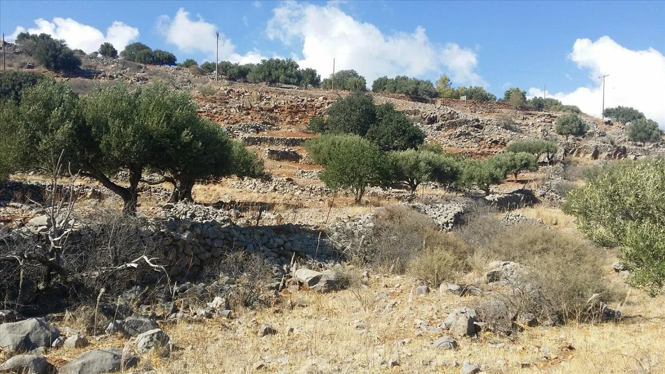 2 - vente terrain vue mer kato pines crète grèce