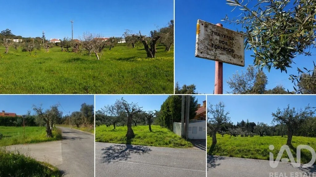 1 - plot of land for sale in torres novas centro region portugal