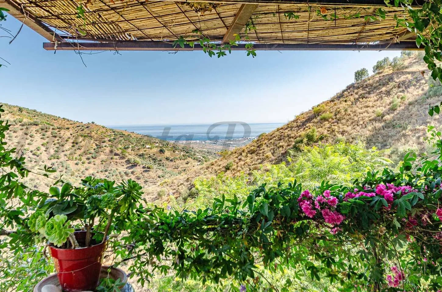 1 - verkauf haus arenas de velez andalusien spanien