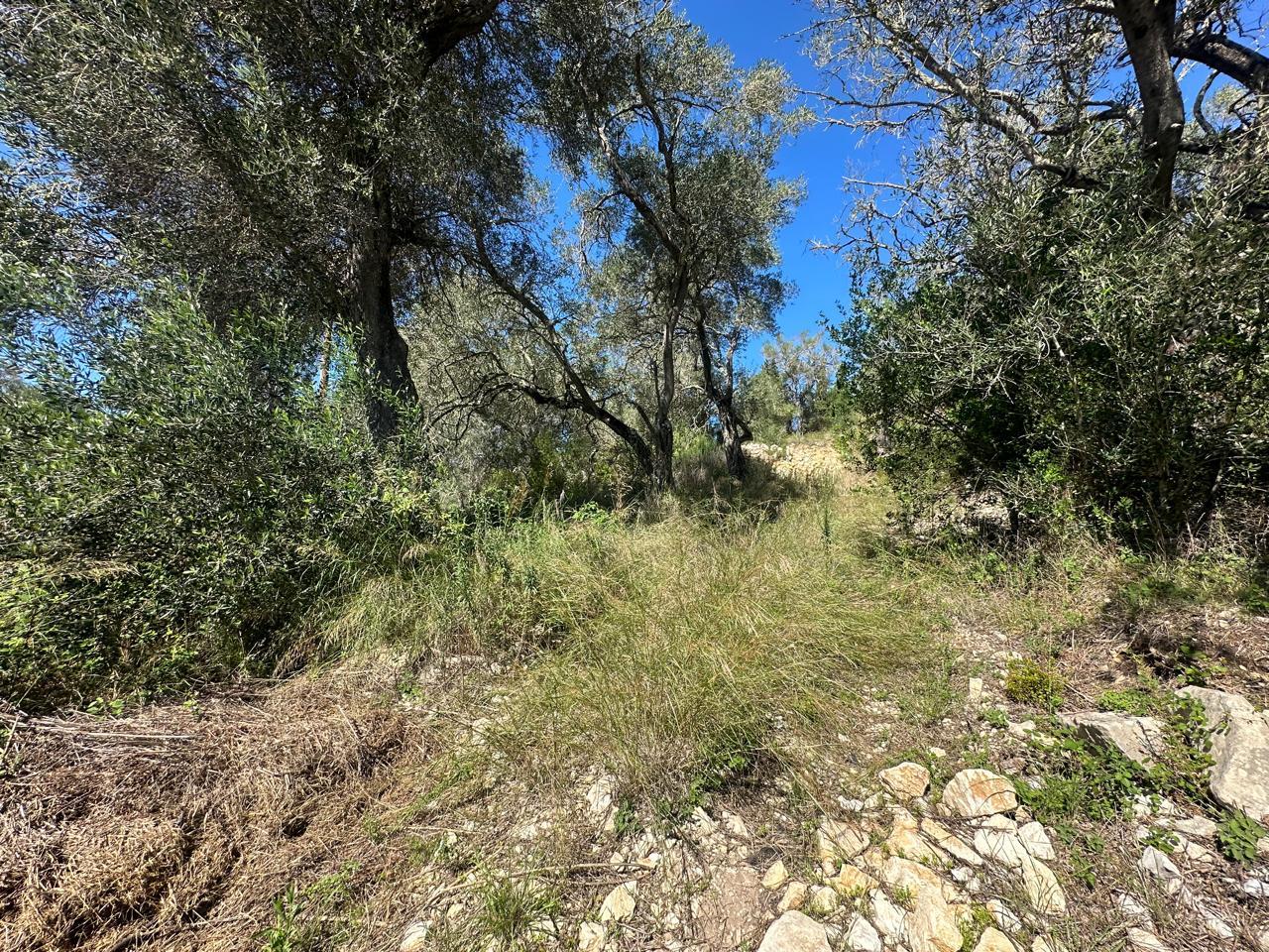 2 - plot of land for sale in loggos (paxos) ionian islands greece