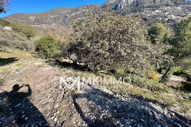 2 - verkauf grundstück castagniers alpes-maritimes frankreich