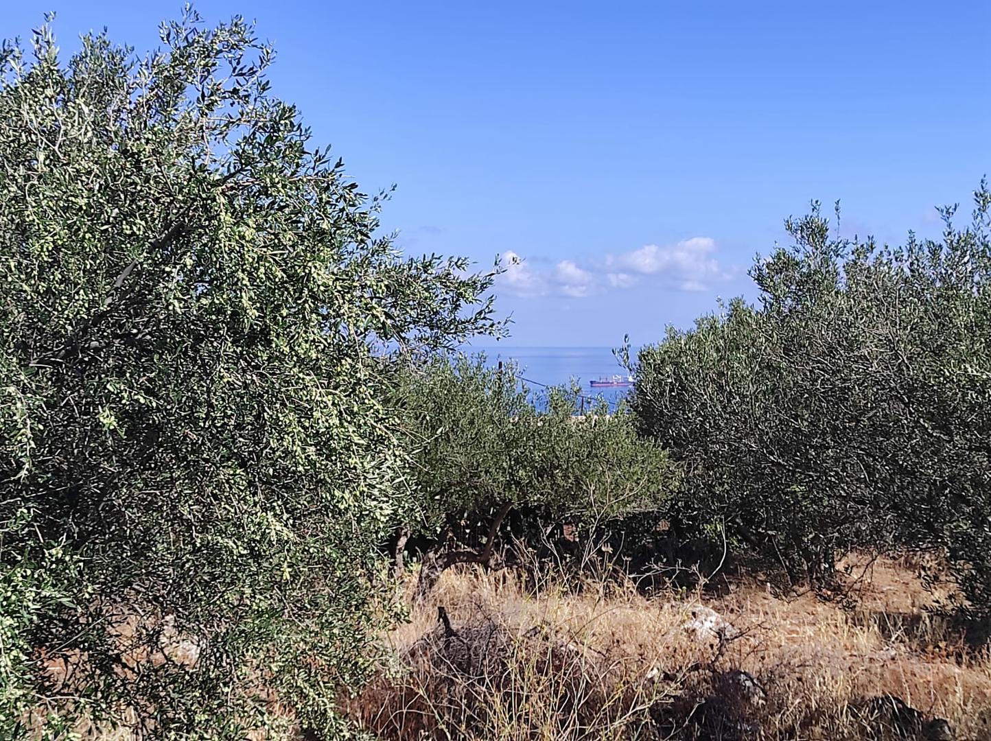 1 - vente terrain vue mer kokkino chorio crète grèce