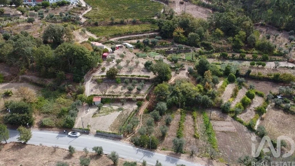 2 - plot of land for sale in germil north region portugal