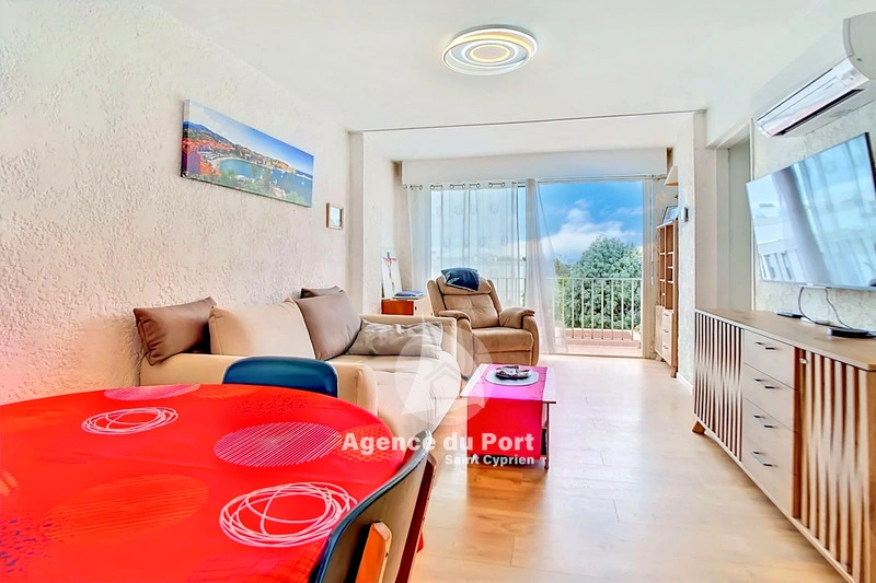 2 - vente appartement saint-cyprien pyrénées-orientales france