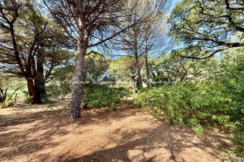 1 - beach walk plot of land for sale in sainte-maxime var france