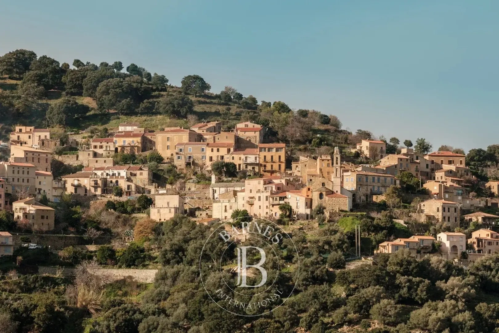 1 - vente terrain occhiatana corse (haute) france
