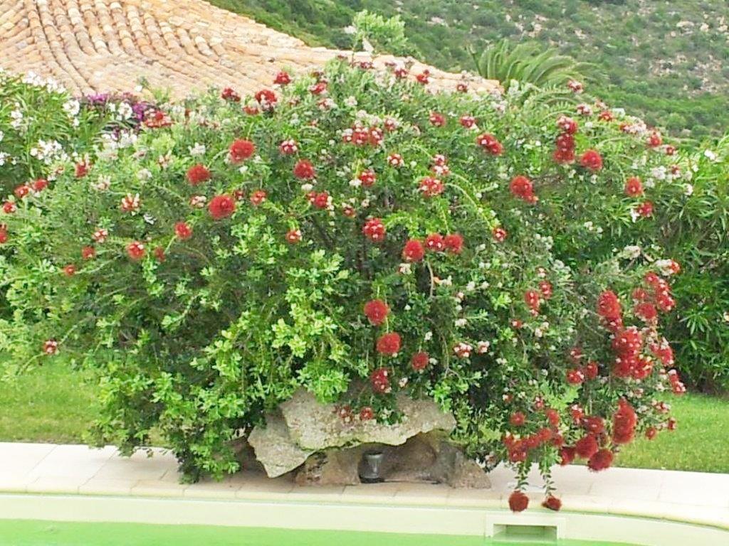 2 - verkoop huis uitzicht op zee porto cervo sardinia italië