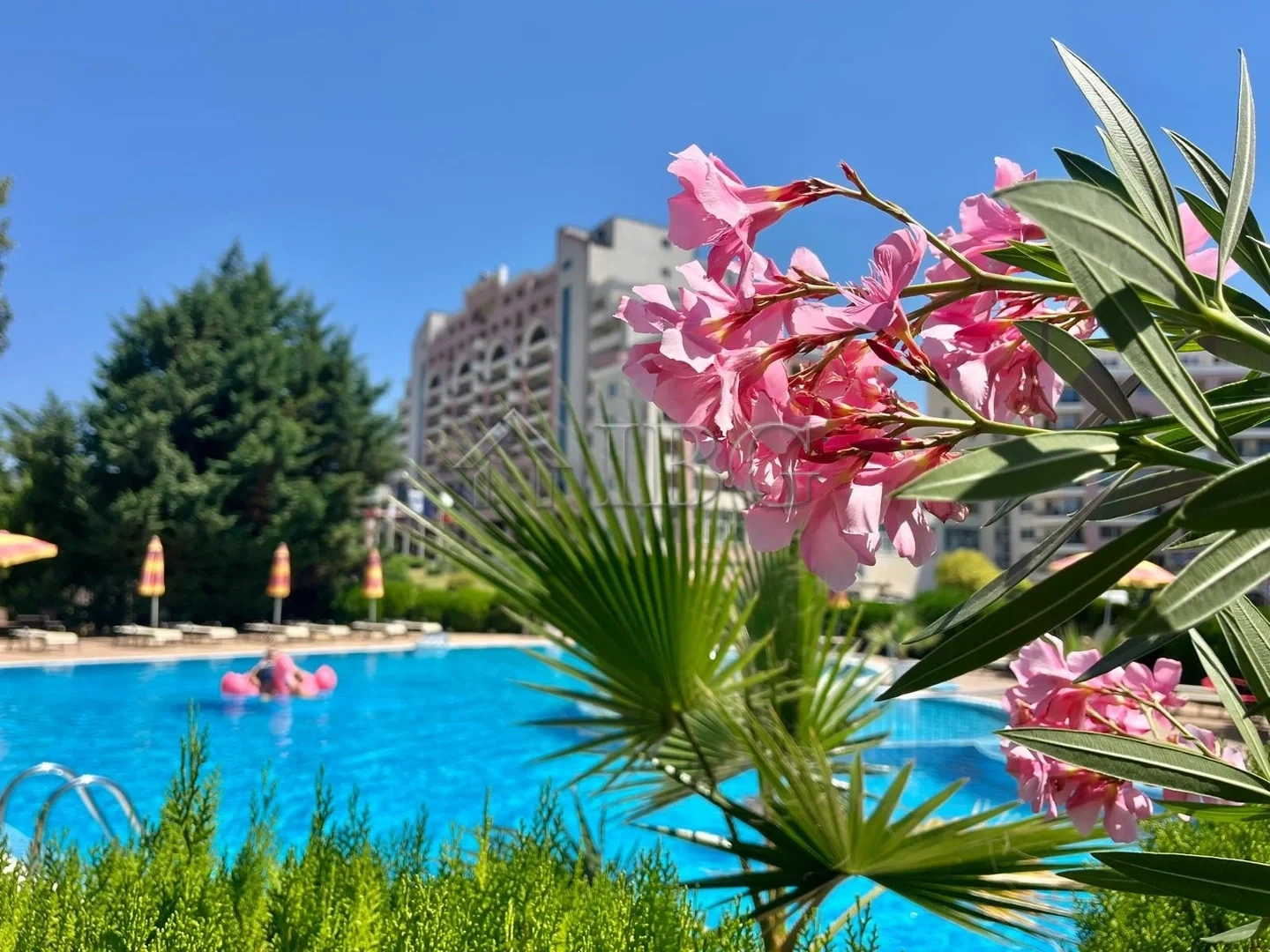 2 - vente appartement plage à pied sunny beach burgas bulgarie