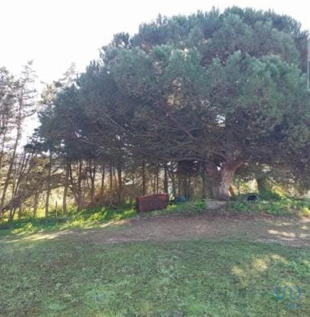 2 - plot of land for sale in torres vedras centro region portugal