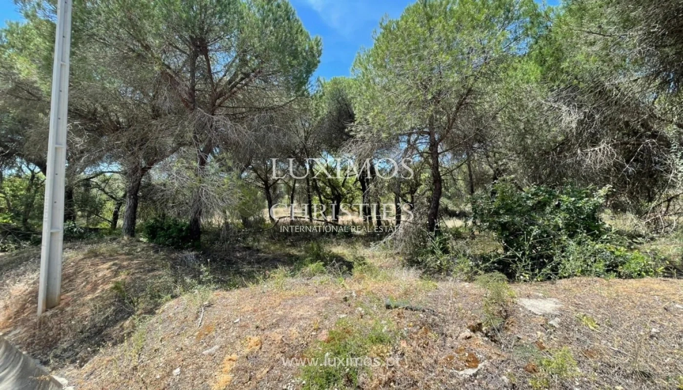 2 - plot of land for sale in loulé algarve portugal