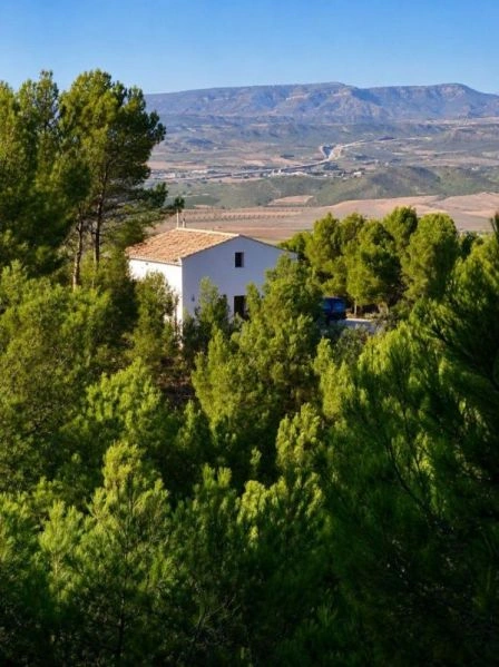 2 - verkauf haus villena valencia spanien