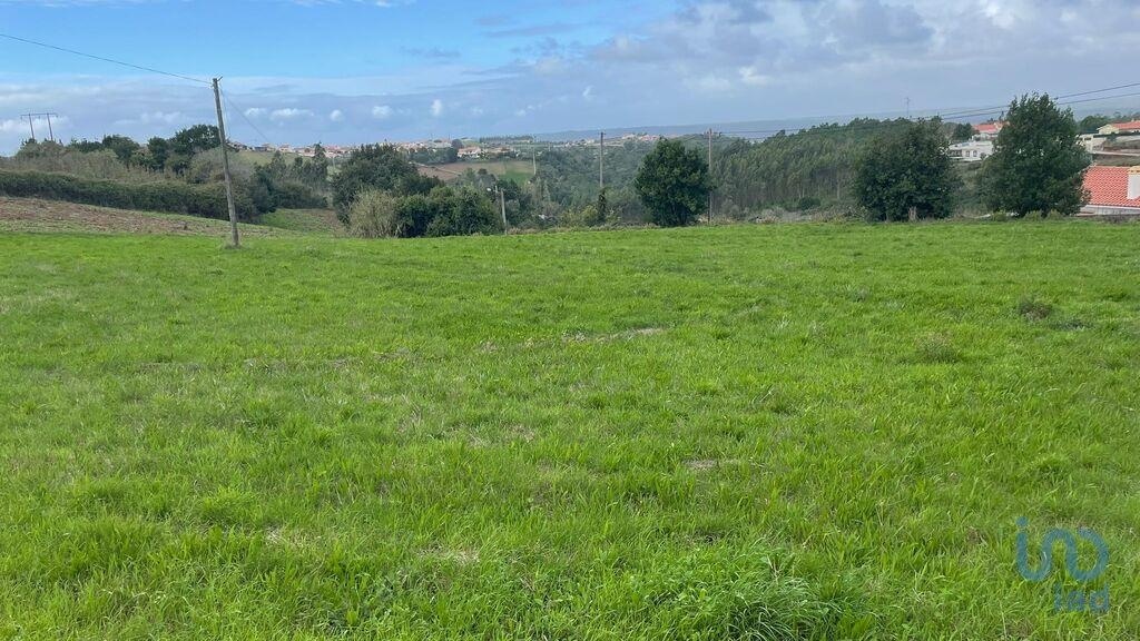 1 - продажа территория alcobaça центральный регион португалия