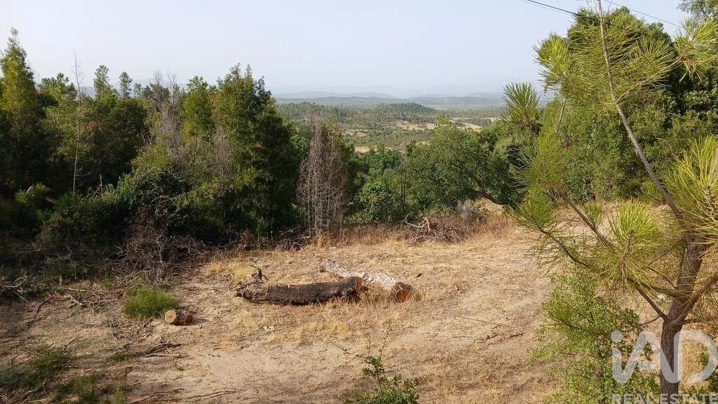 1 - plot of land for sale in castelo branco centro region portugal