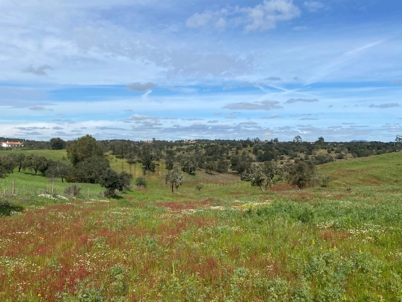 2 - vente terrain serpa alentejo portugal