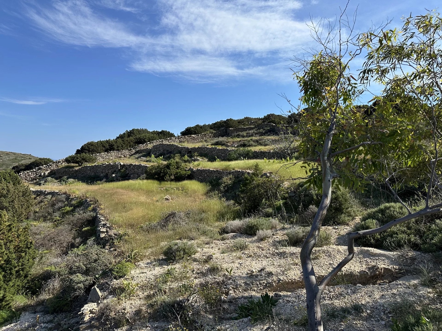 2 - verkauf grundstück meerblick paros - kykladen südliche ägäis griechenland