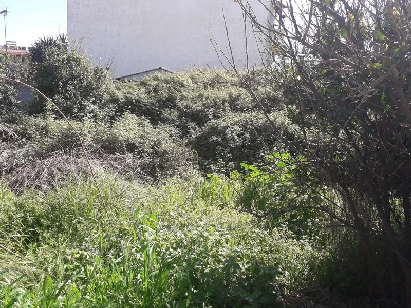 1 - verkauf grundstück strandpromenade platanias kreta griechenland