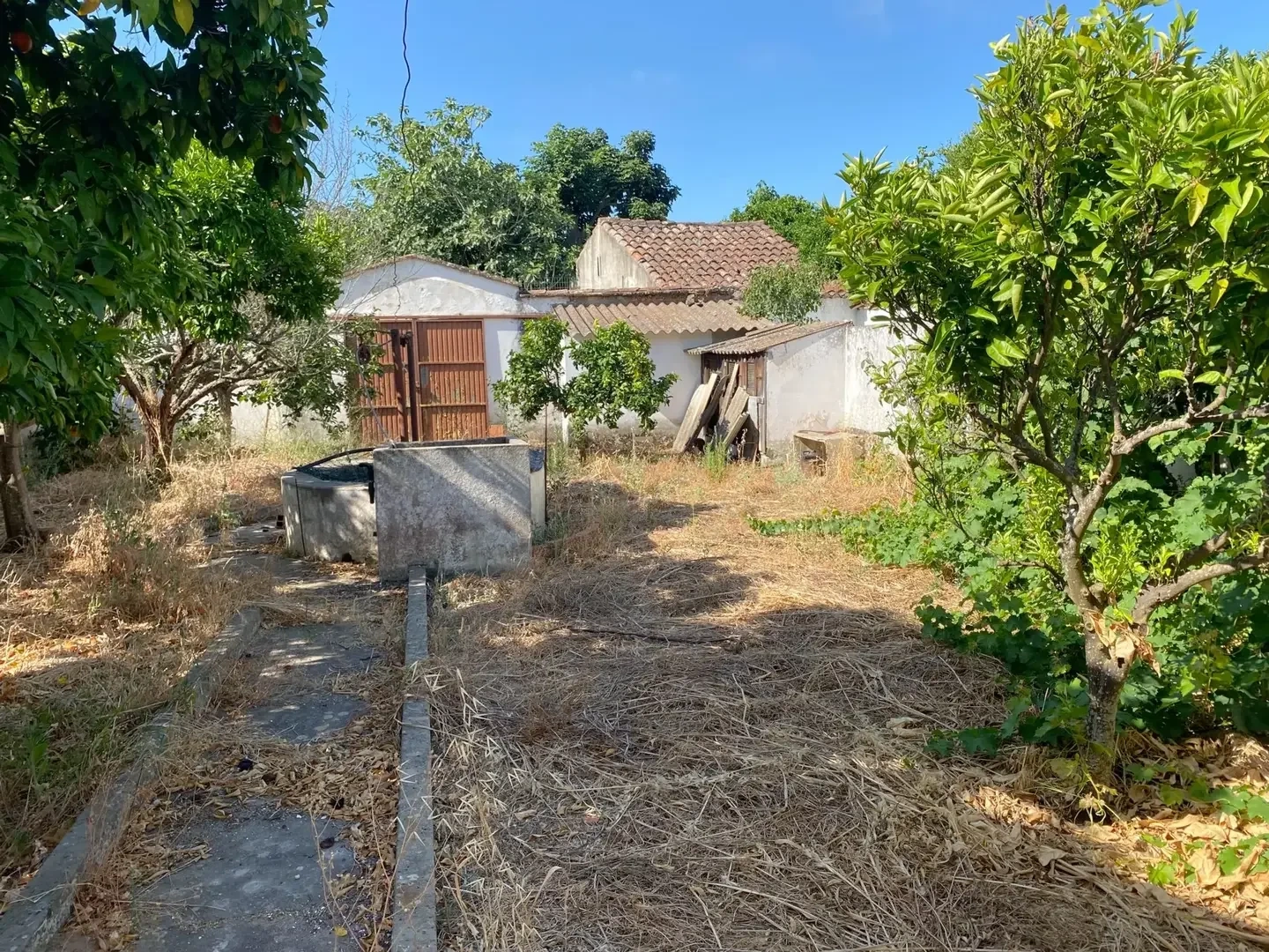 1 - verkauf haus grândola alentejo portugal