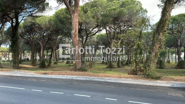 2 - vente appartement plage à pied grosseto toscane italie