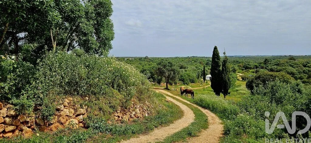 2 - venta terreno barão de são miguel algarve portugal
