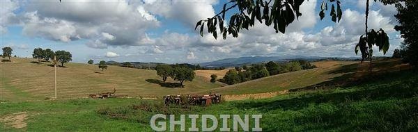 2 - venta terreno scansano toscana italia