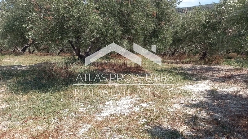 2 - verkauf grundstück meerblick platanias kreta griechenland